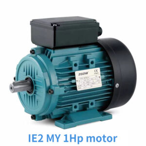 IE2MY single phase induction motor with running capacitor for pumps