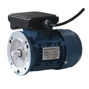 Commercial 0.06kw 1500rpm Single-Phase Coffee Machine Capacitor-Run Induction Motor B5 Waterproof 220V AC 60Hz Asynchronous