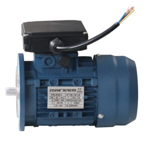 Commercial 0.06kw 1500rpm Single-Phase Coffee Machine Capacitor-Run Induction Motor B5 Waterproof 220V AC 60Hz Asynchronous