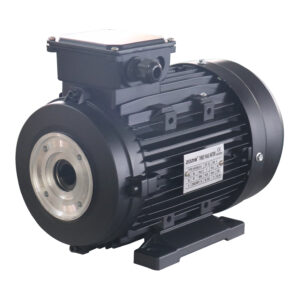 ZOZHI HS100L3-4 5.5hp 4kw hollow shaft electric motor for interpump for high pressure washer